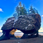 Hopewell Rocks