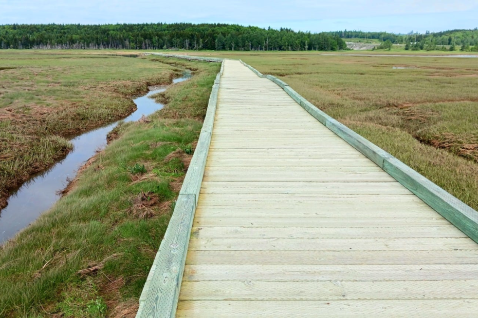 Irving Nature Park
